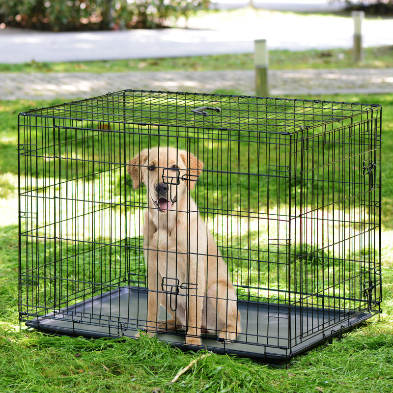 DBZQ150 Folding Wire Mesh Pet Cage Wayfair.co.uk